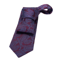Burgundy & Blue Paisley Silk Tie