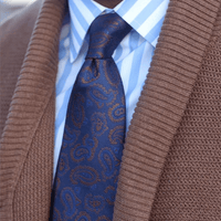 Blue & Brown Paisley Silk Tie