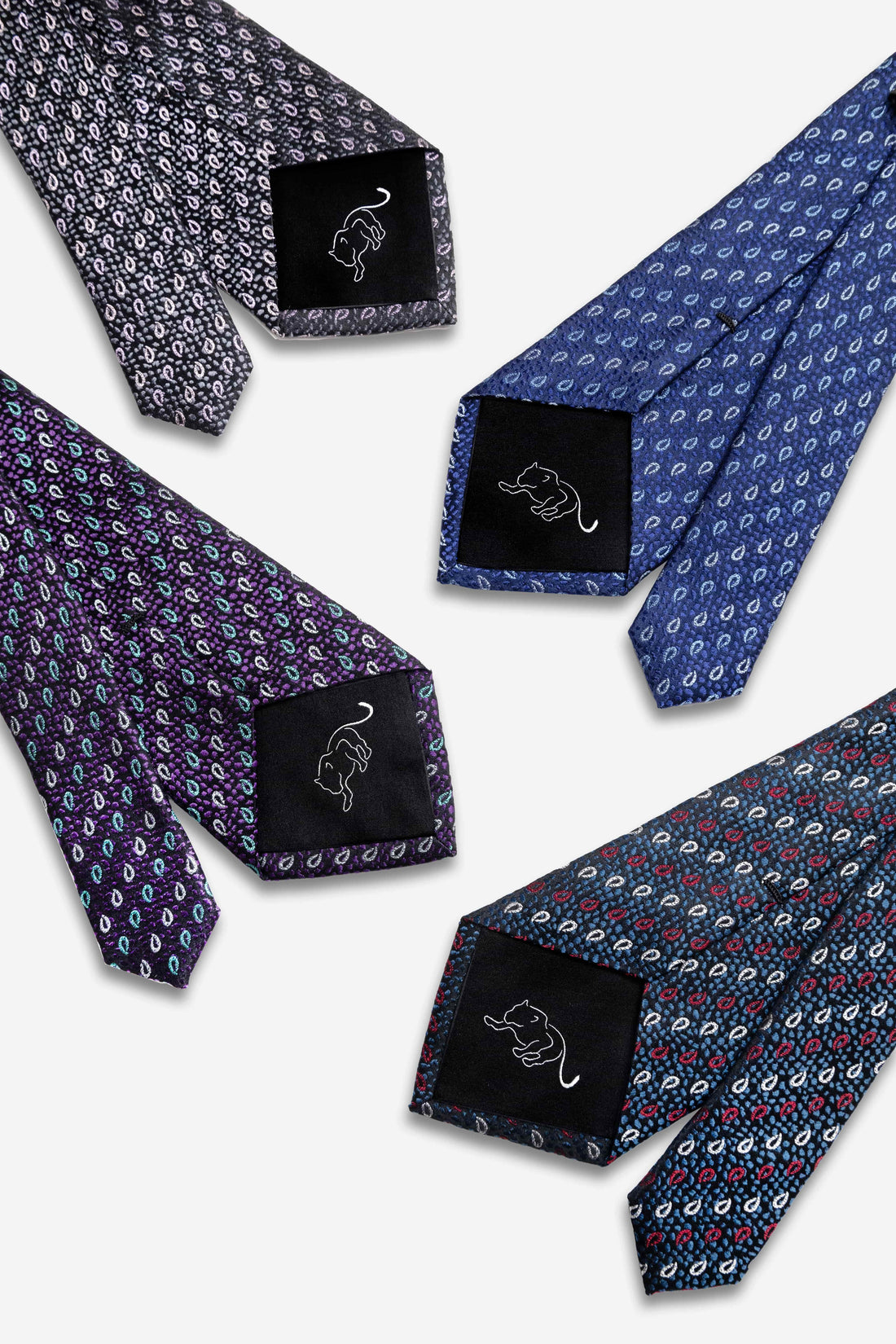 Paisley Silk Ties 