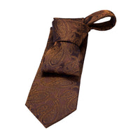 Brown & Gold Paisley Silk Tie